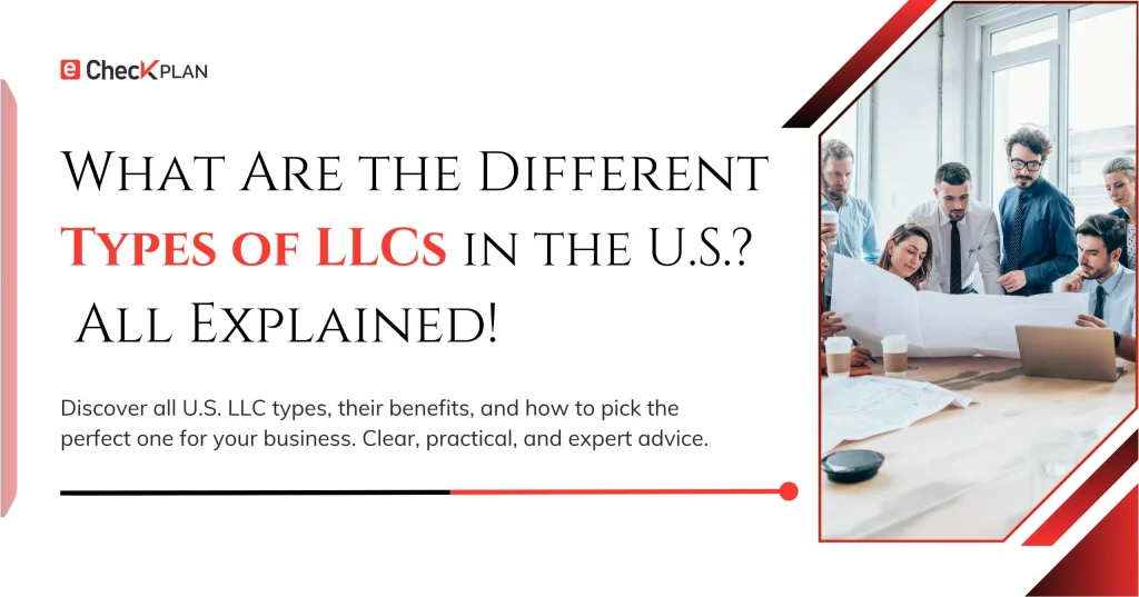 Different Types of LLCs in the U.S. — All Explained!