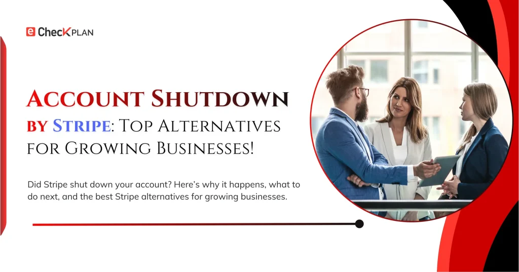 Account Shutdown by Stripe: Best Alternatives for Growth